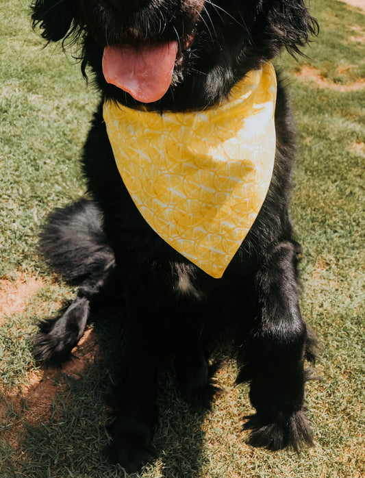 Lemon Squeezy Dog Bandana