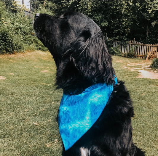 Blue Tie Dye Dog Bandana