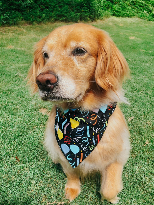 Birthday Dog Bandana