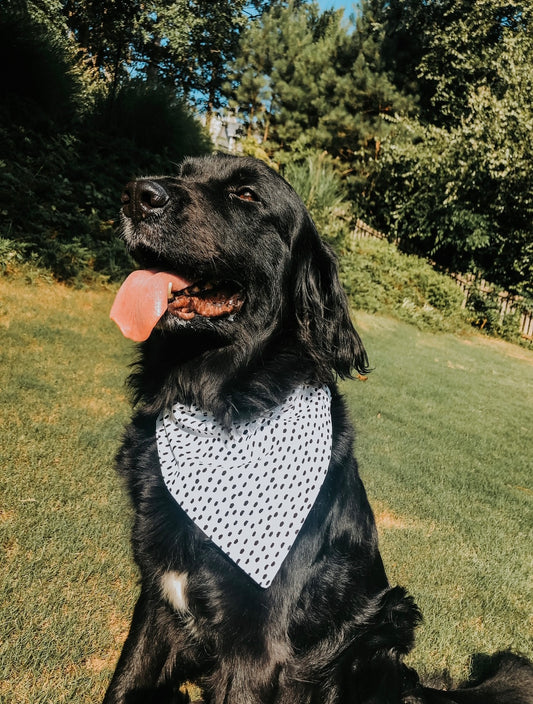 B&W Spotted Dog Bandana