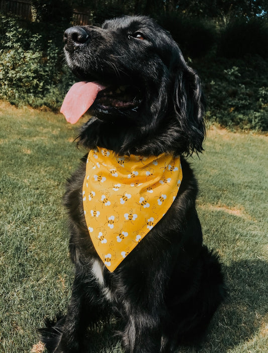 Bumble Dog Bandana