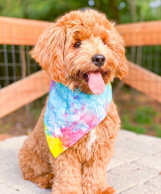 Multi Tie Dye Dog Bandana