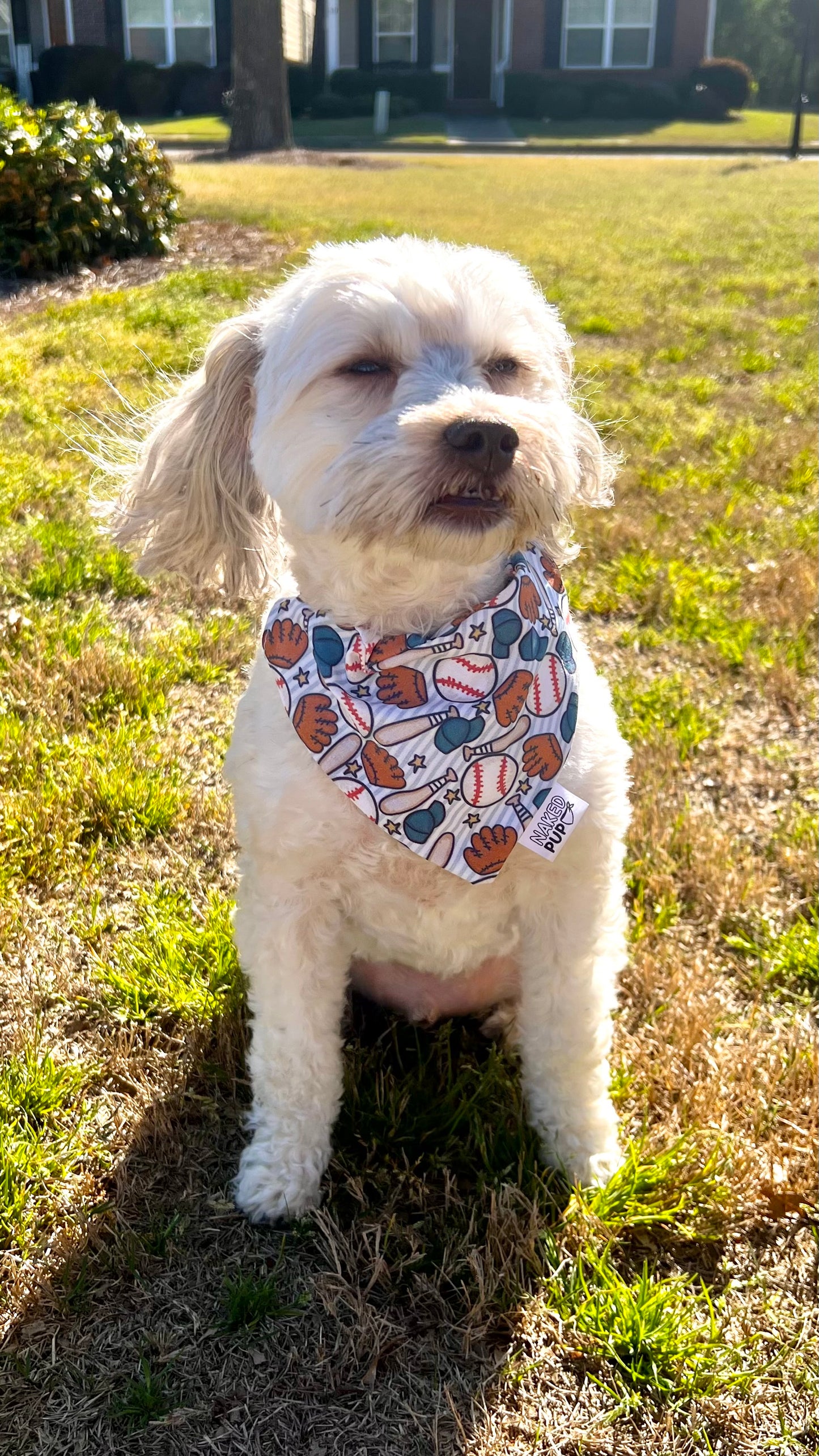 Game Day Bandana