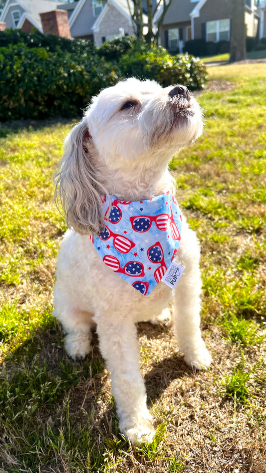 Seeing Stars Bandana