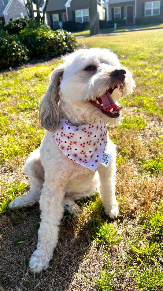Floral Daisies Bandana