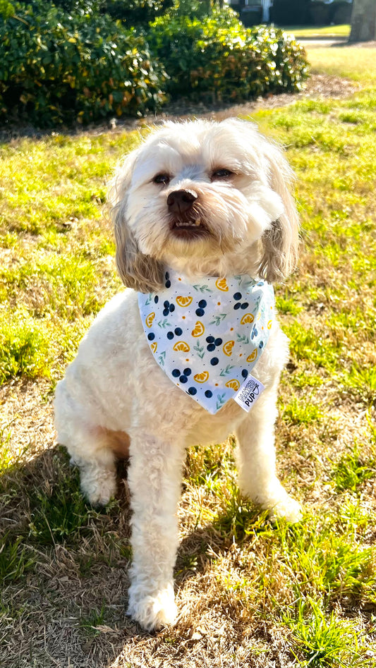 Fruity Floral Bandana