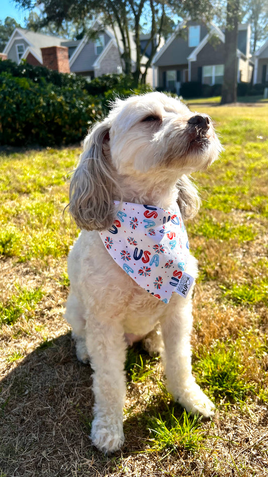 USA Bandana
