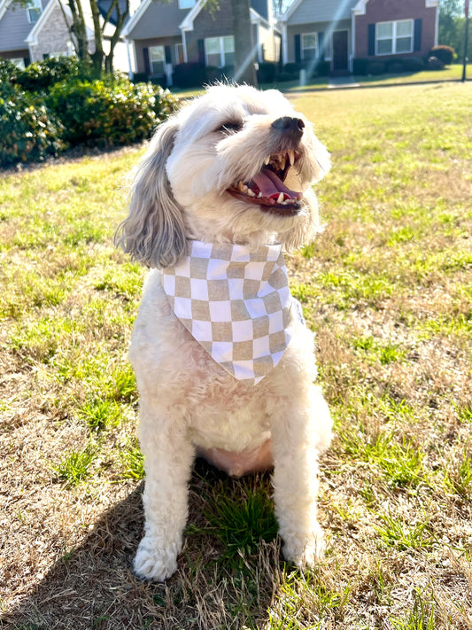 Cream Gingham Bandana