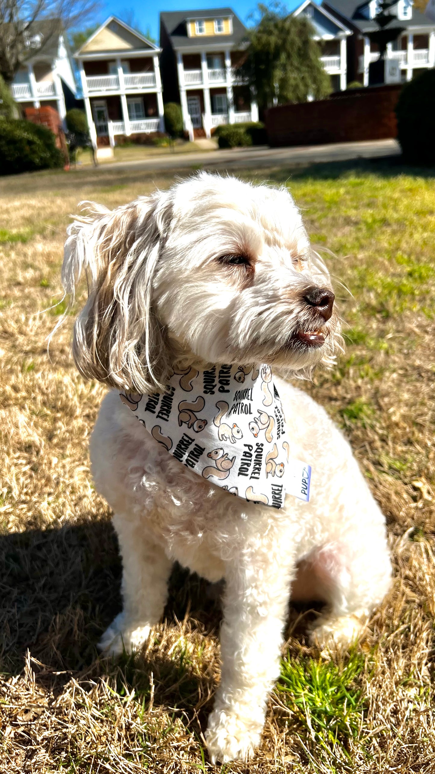 Squirrel Patrol Bandana