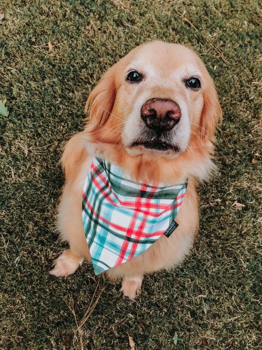 Holiday Plaid Dog Bandana