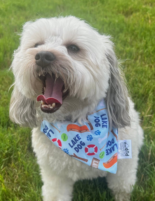Lake Dog Bandana