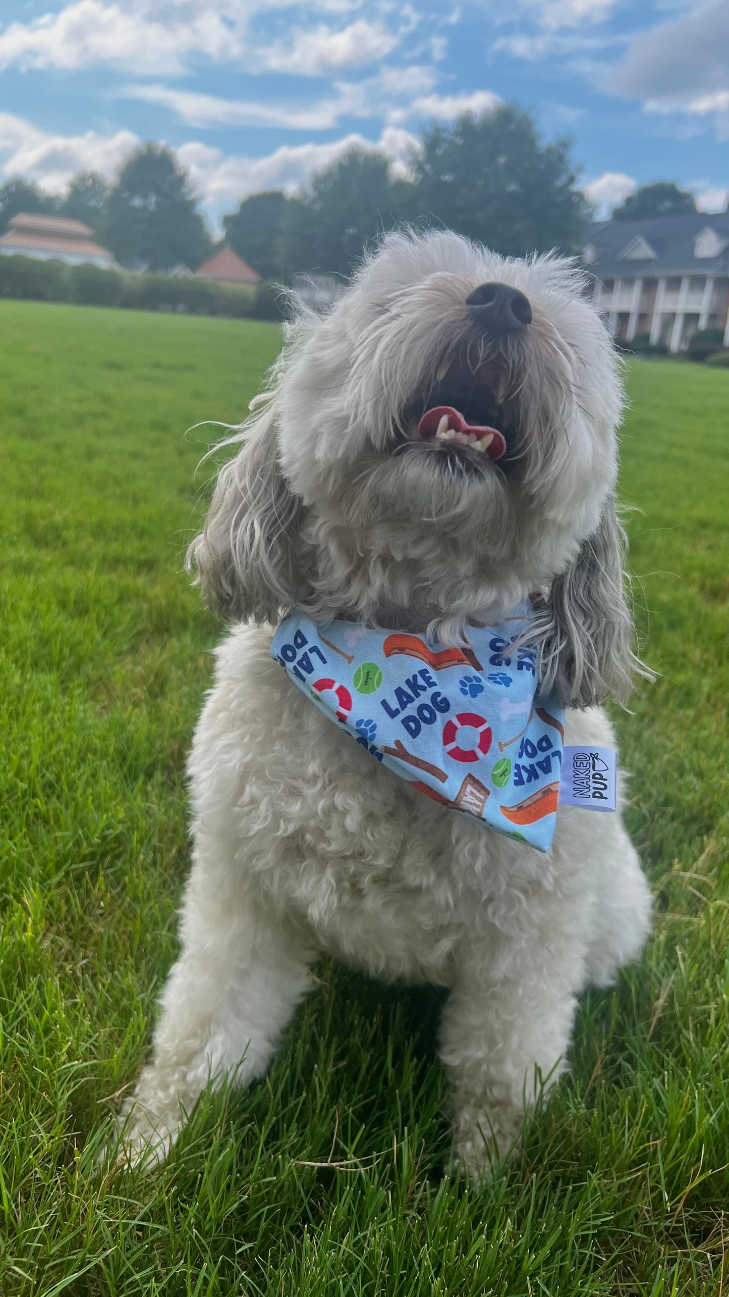 Lake Dog Bandana