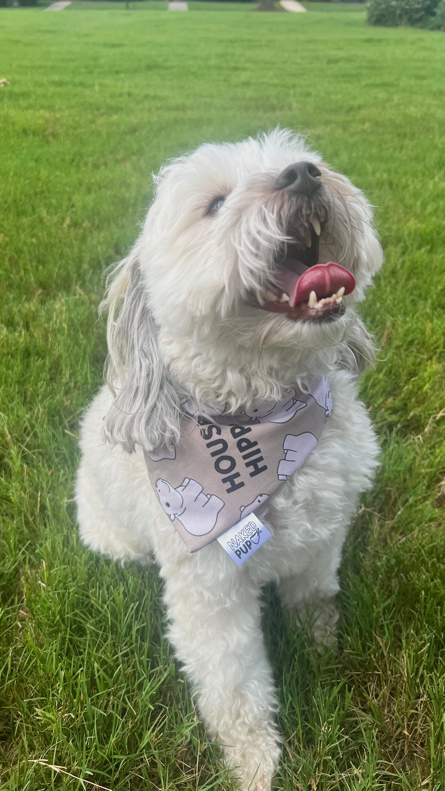 House Hippo Dog Bandana