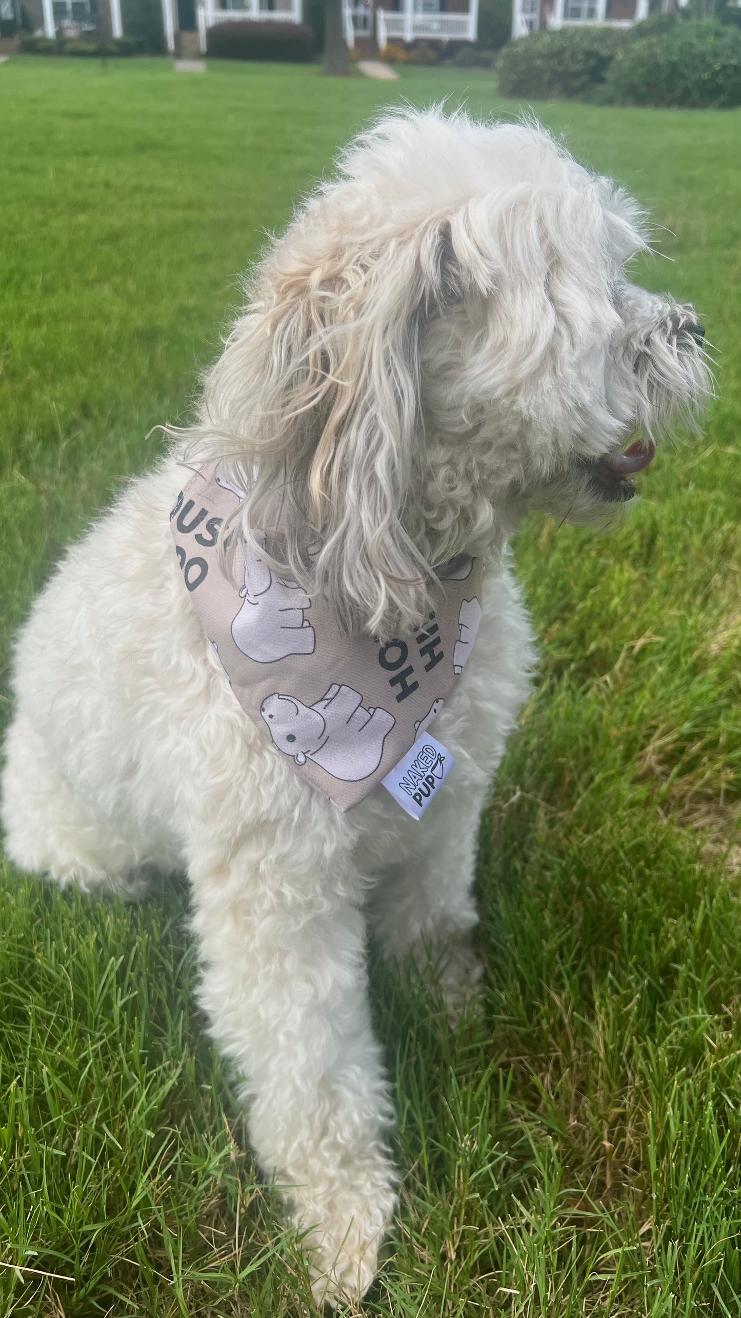 House Hippo Dog Bandana