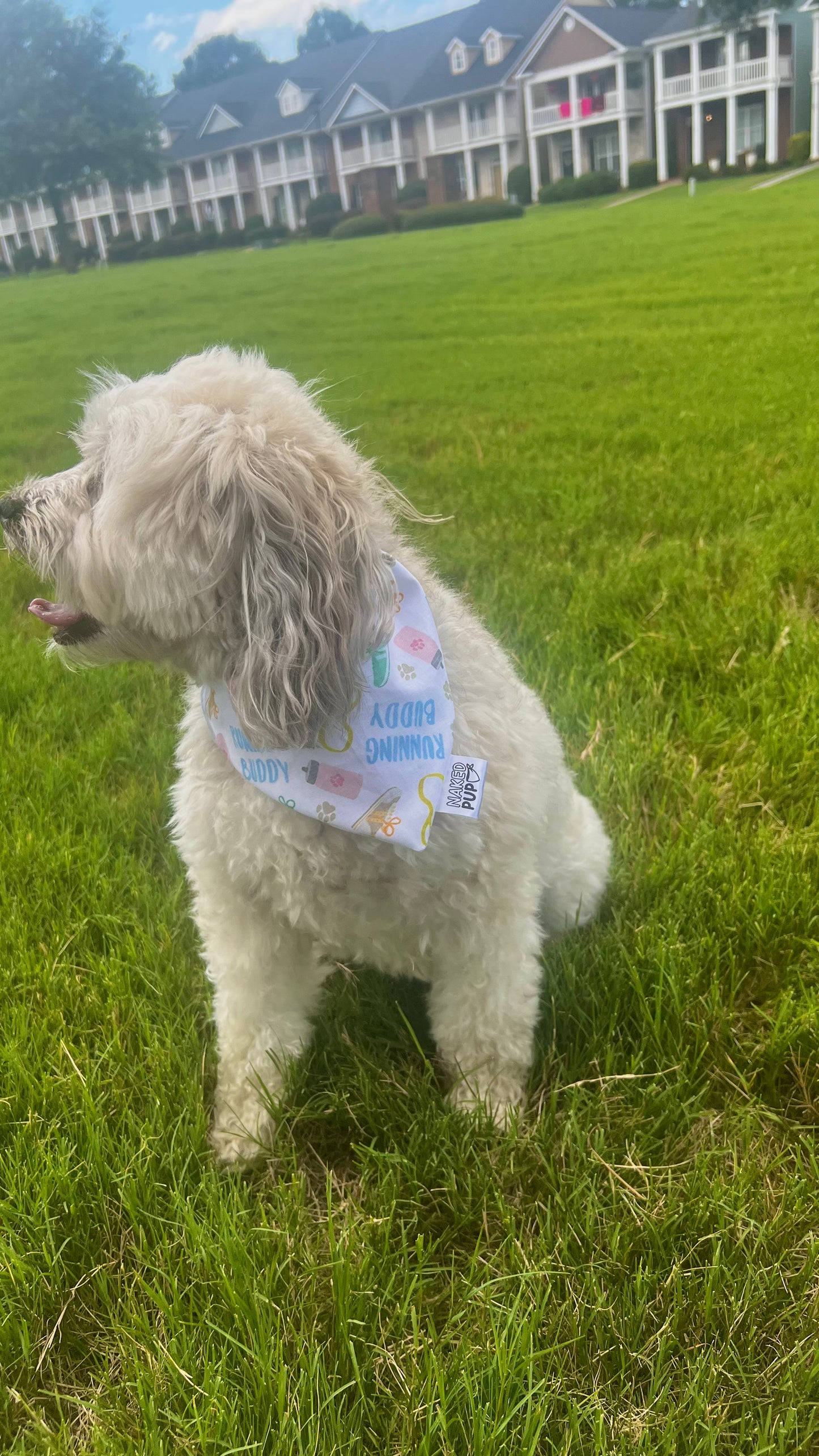 Running Buddy Dog Bandana
