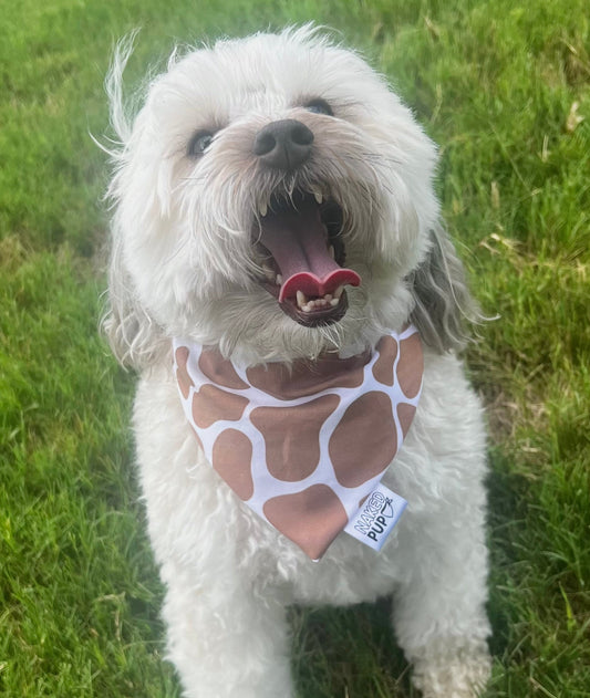 Cowprint Dog Bandana