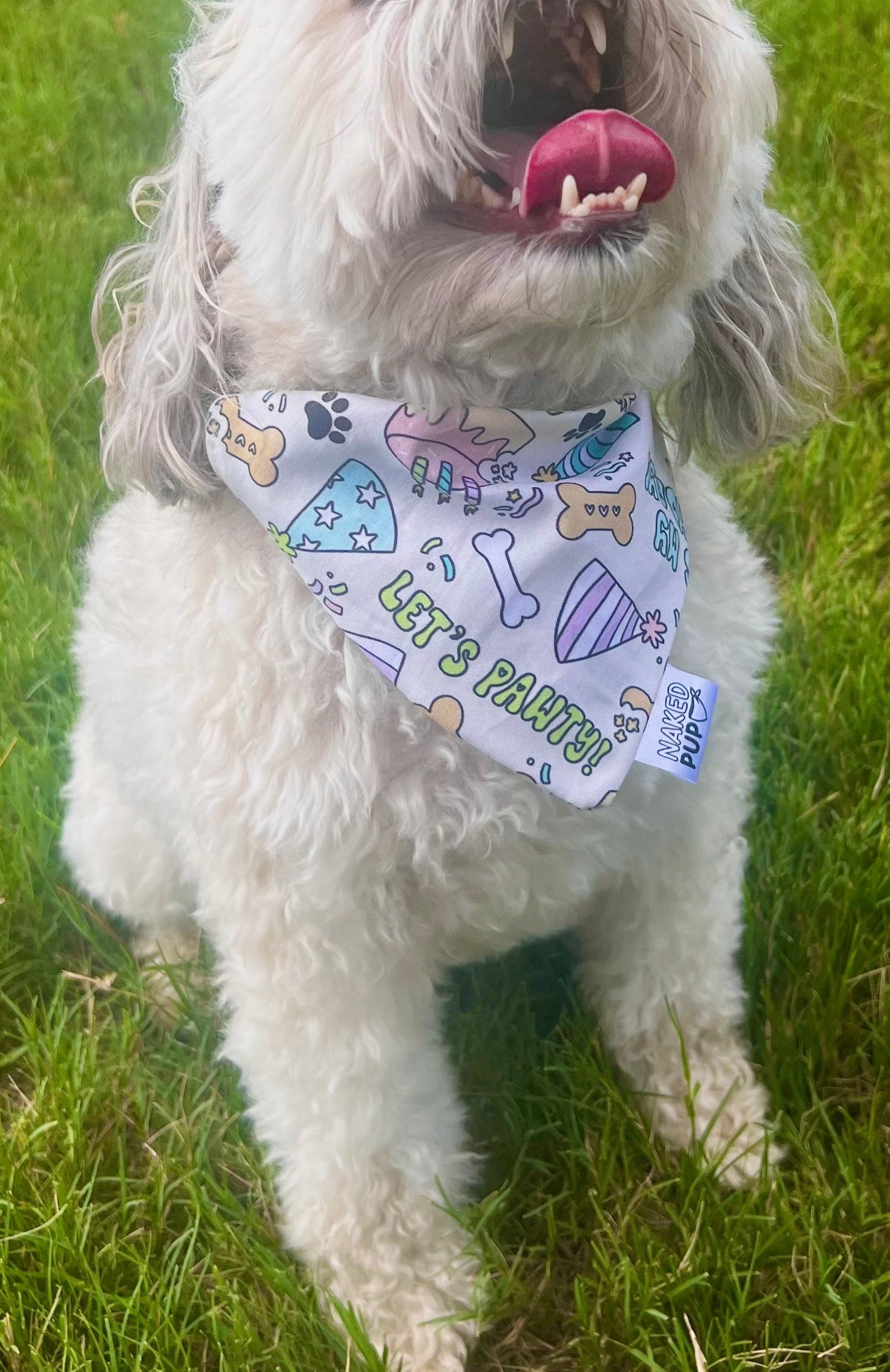 Birthday Dog Bandana