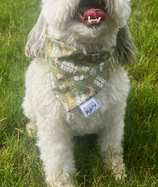 Hiking Buddy Dog Bandana