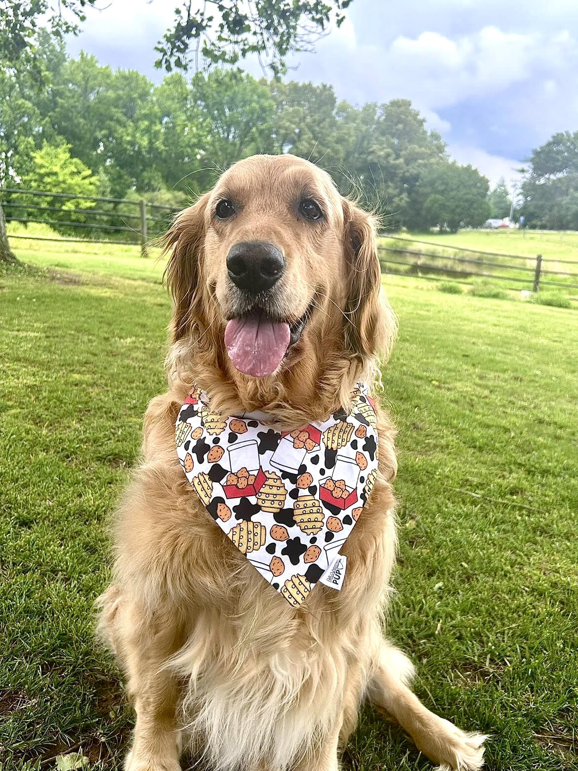 Eat Mor Chikin Bandana
